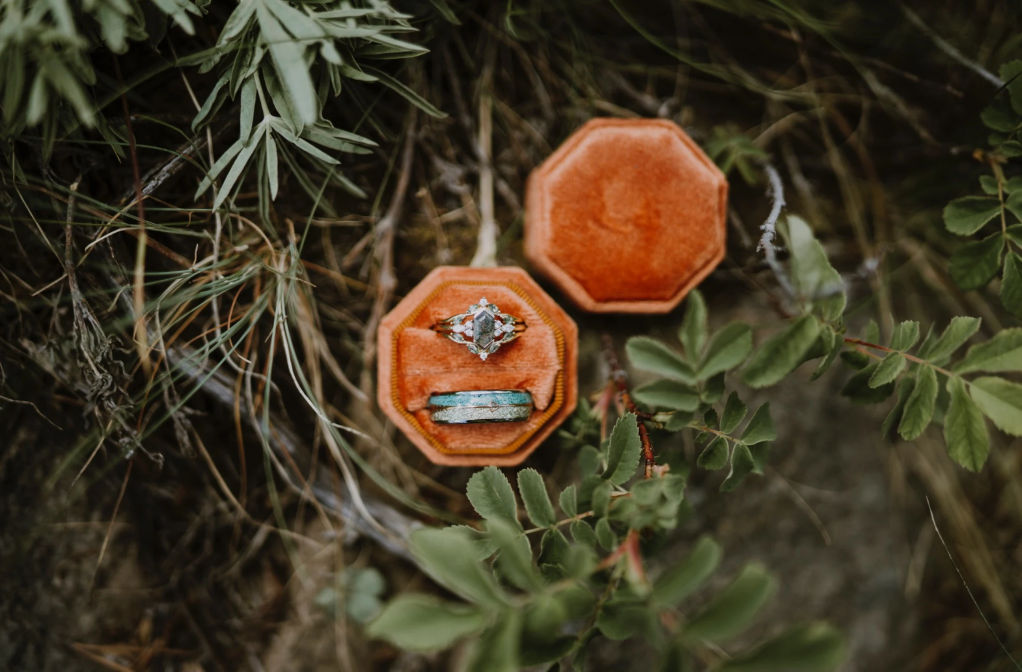 Wedding rings in orange velvet boxes nestled among greenery